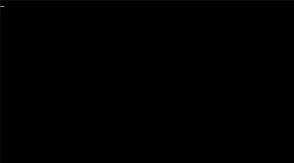 Blank Screen with Blinking Cursor